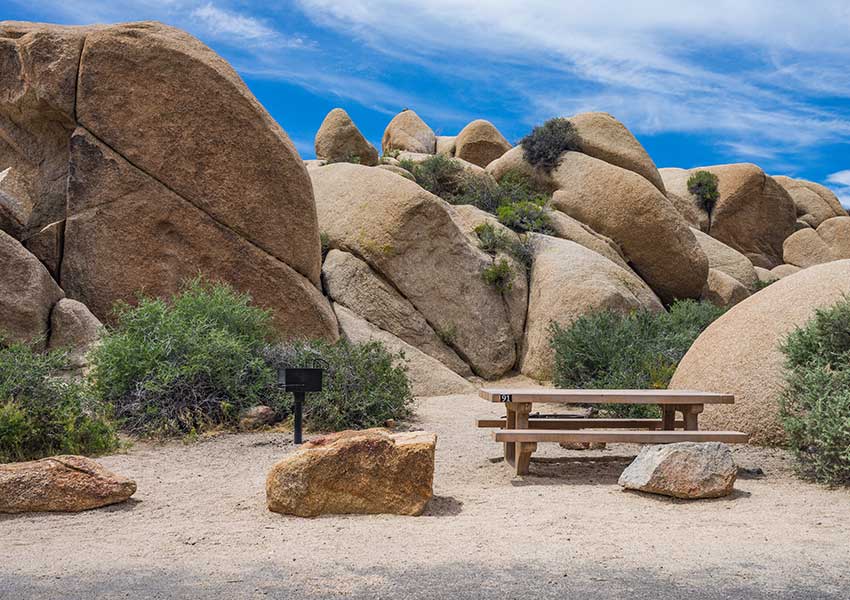 Palm Springs Picnic Spots