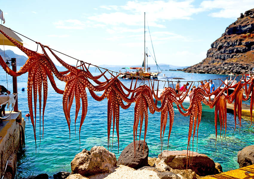 F.N. Sharp Guide to Greek Seafood