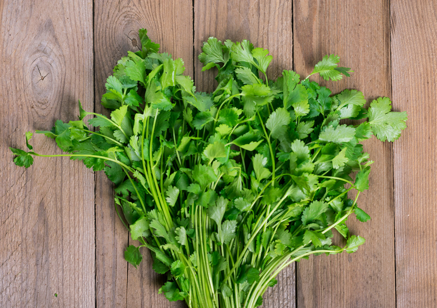 Cooking With Fresh Herbs and Spices F.N. Sharp Blog