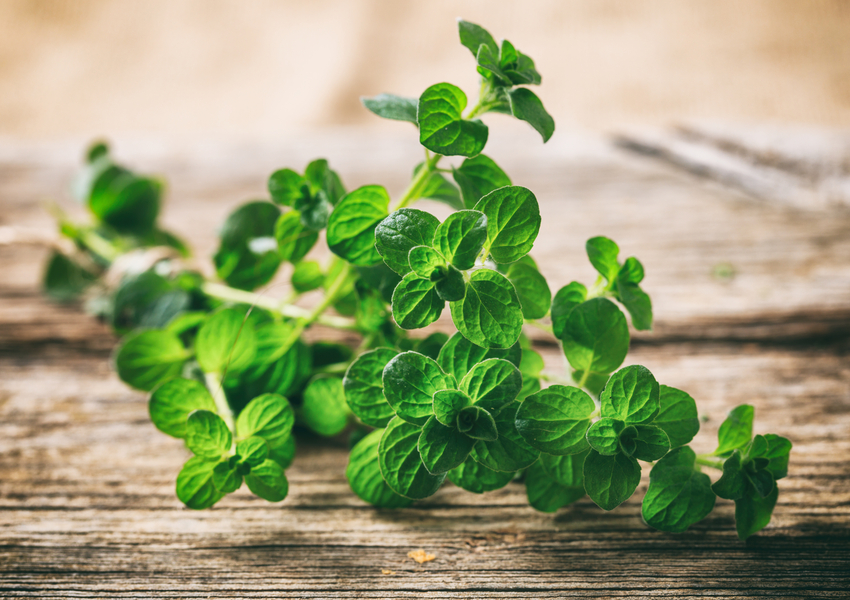 Cooking With Fresh Herbs and Spices F.N. Sharp