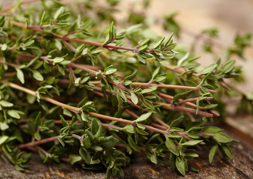 Cooking With Fresh Herbs and Spices F.N. Sharp Blog